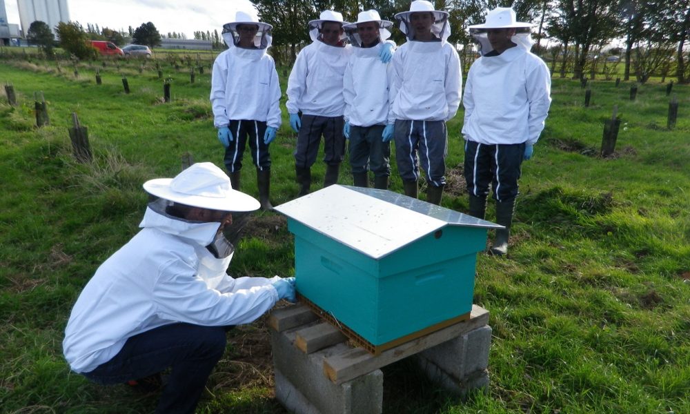EAP-NORMANDIE-lycee-professionnel-agricole-Le-NEUBOURG-apiculteurs