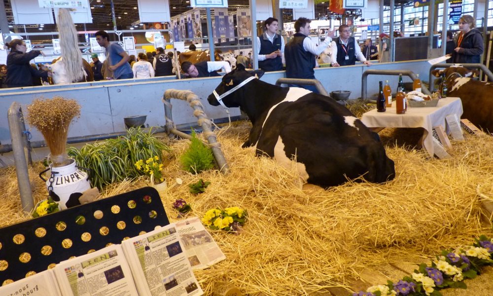 EAP-NORMANDIE-lycee-professionnel-agricole-Le-NEUBOURG-tnla