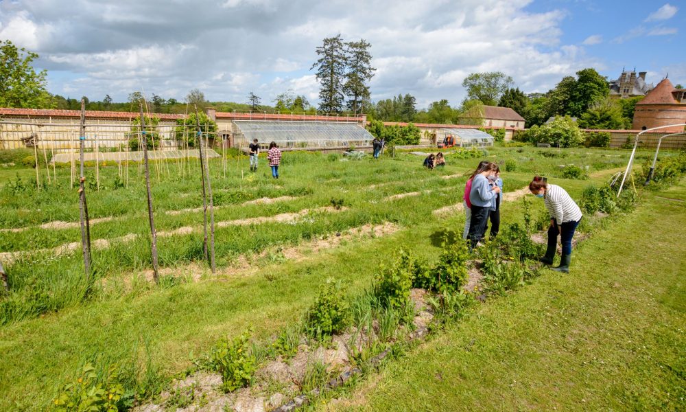 Potager CRÉE (1)