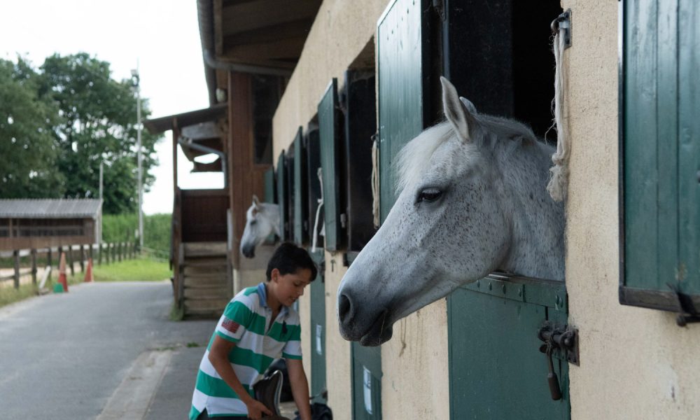 centre.equestre.017